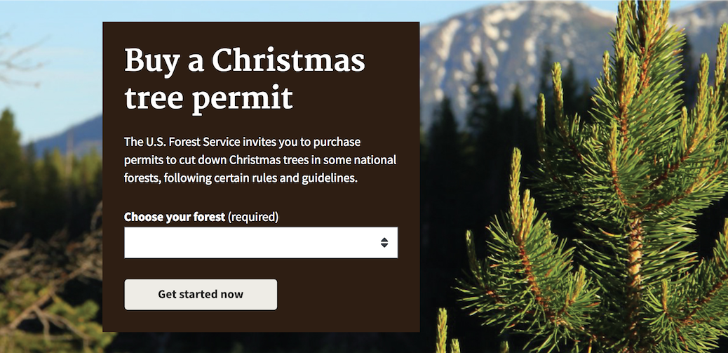 Screen shot of the Christmas tree permit website